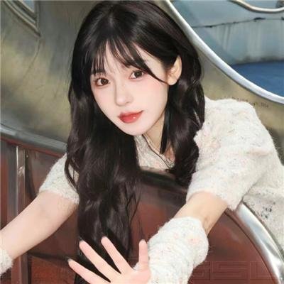 龟甲秘事之拨云见日