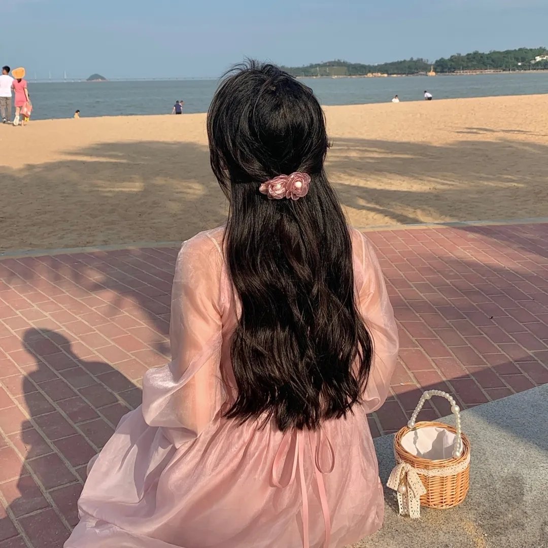 燕子号与亚马逊号